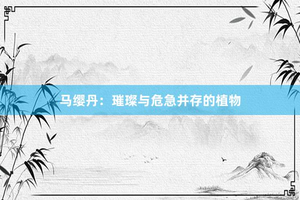 马缨丹：璀璨与危急并存的植物
