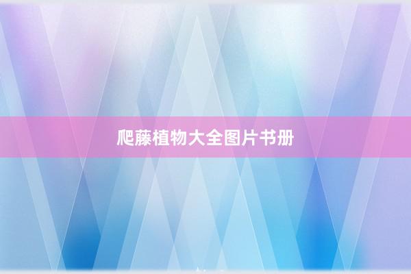 爬藤植物大全图片书册