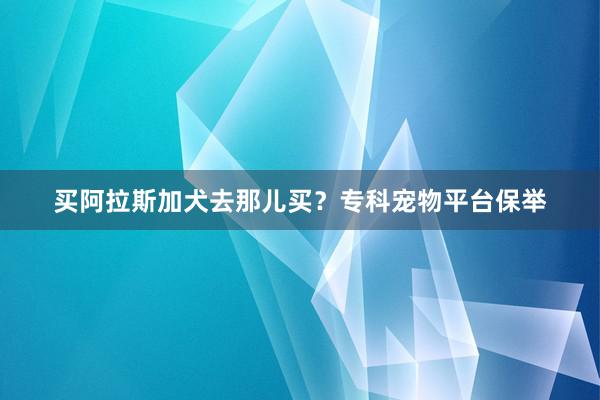 买阿拉斯加犬去那儿买？专科宠物平台保举